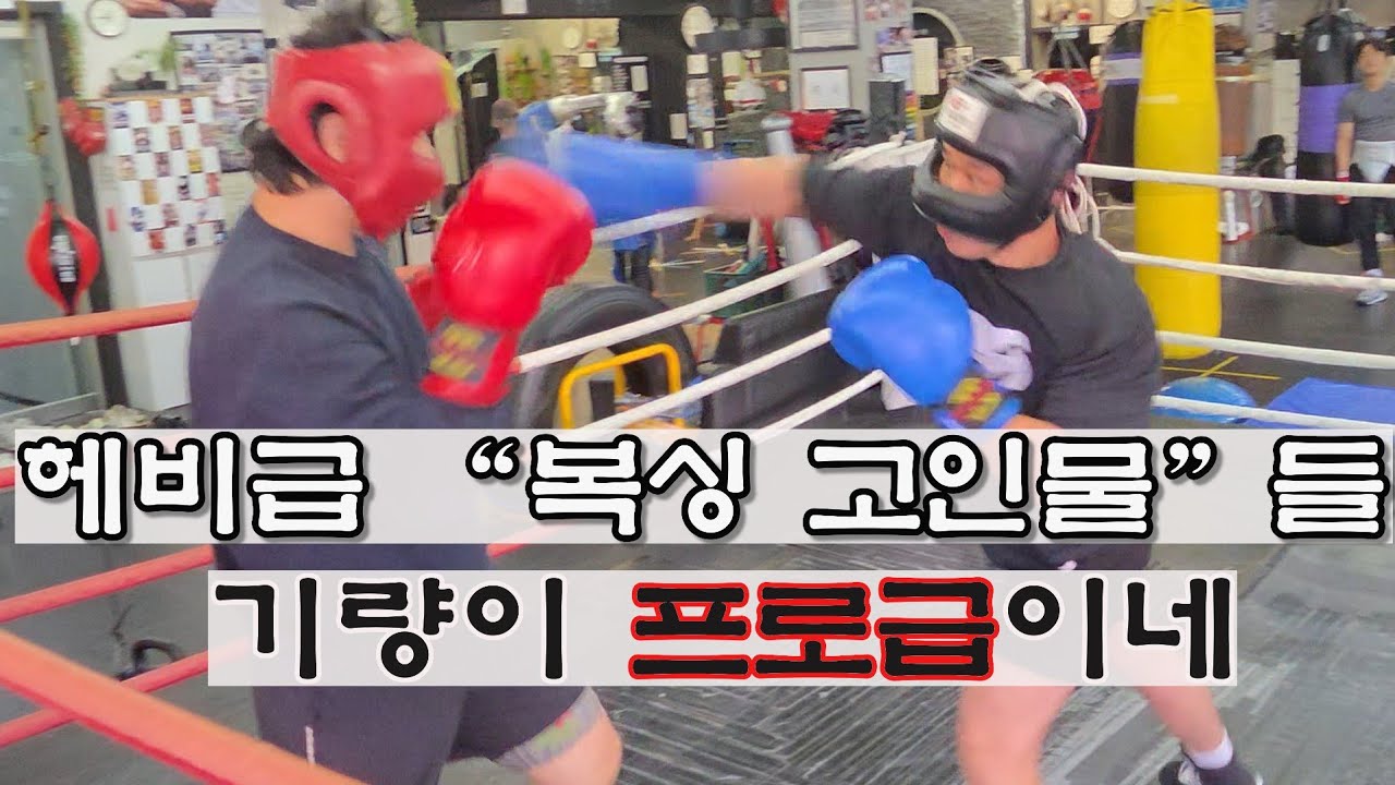 헤비급 복싱 고인물들 스파링 기량이 프로급이네 #boxing #ufc #복싱 #권투 #챔피언 #제이나인 #스포츠 #스파링 #유산소운동 #맨몸운동 #감량 #복싱다이어트 #장정구