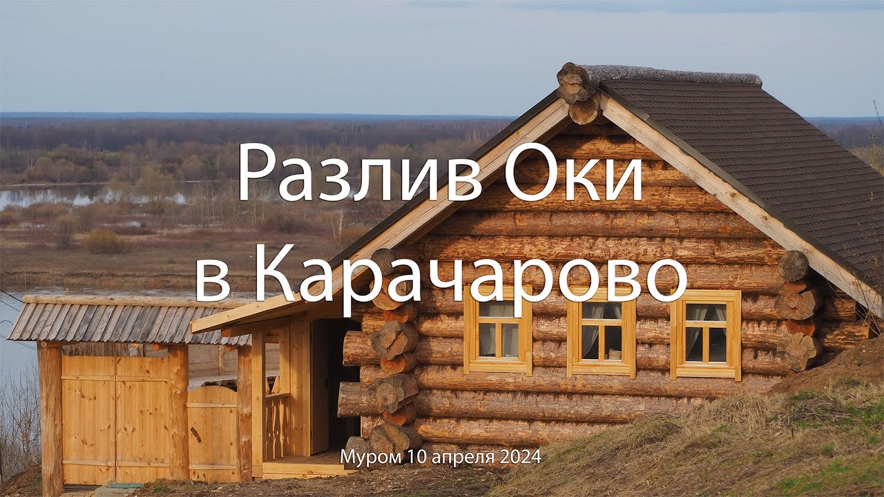 Разлив Оки в Карачарово, Муром, 10 апреля 2024, Oka spill in Karacharovo, Murom, April 10, 2024