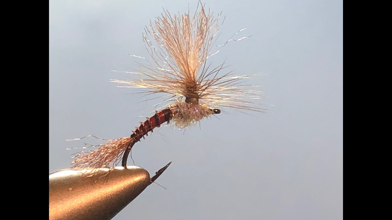 1K Isonychia Parachute Emerger