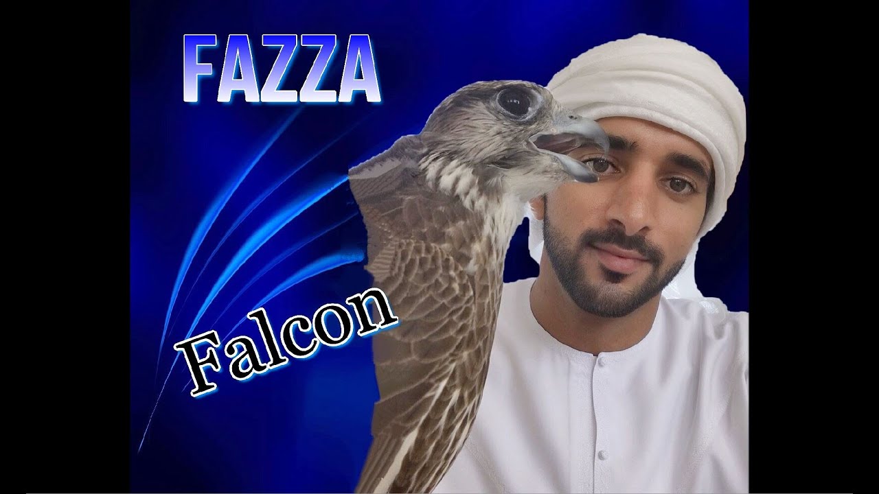 Sheikh Hamdan (فزاع 𝙁𝙖𝙯𝙯𝙖) Falcon