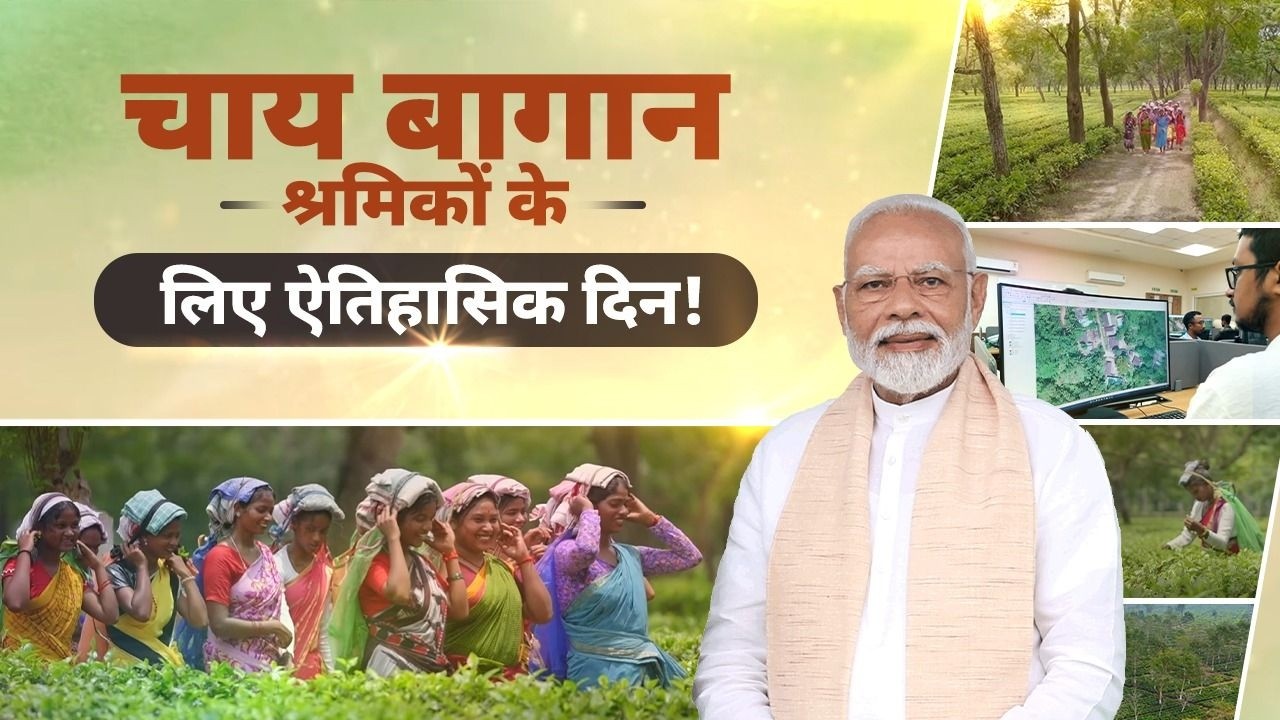 HISTORIC reform brings land security to Assam&rsquo;s tea garden workers