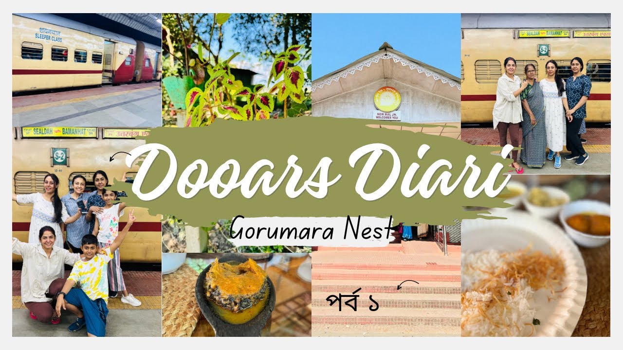 আমাদের Dooars যাএা শুরু l Gorumara Nest e থাকার খরচ,খাবারের দাম কত l @MyLifeMyStylewithRita