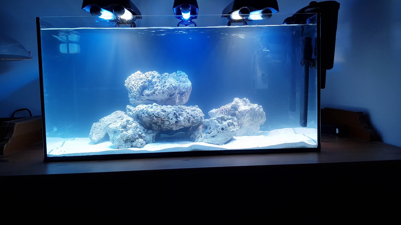 Nano Reef Vlog | Start zbiornika | tanie akwarium morskie | (01)
