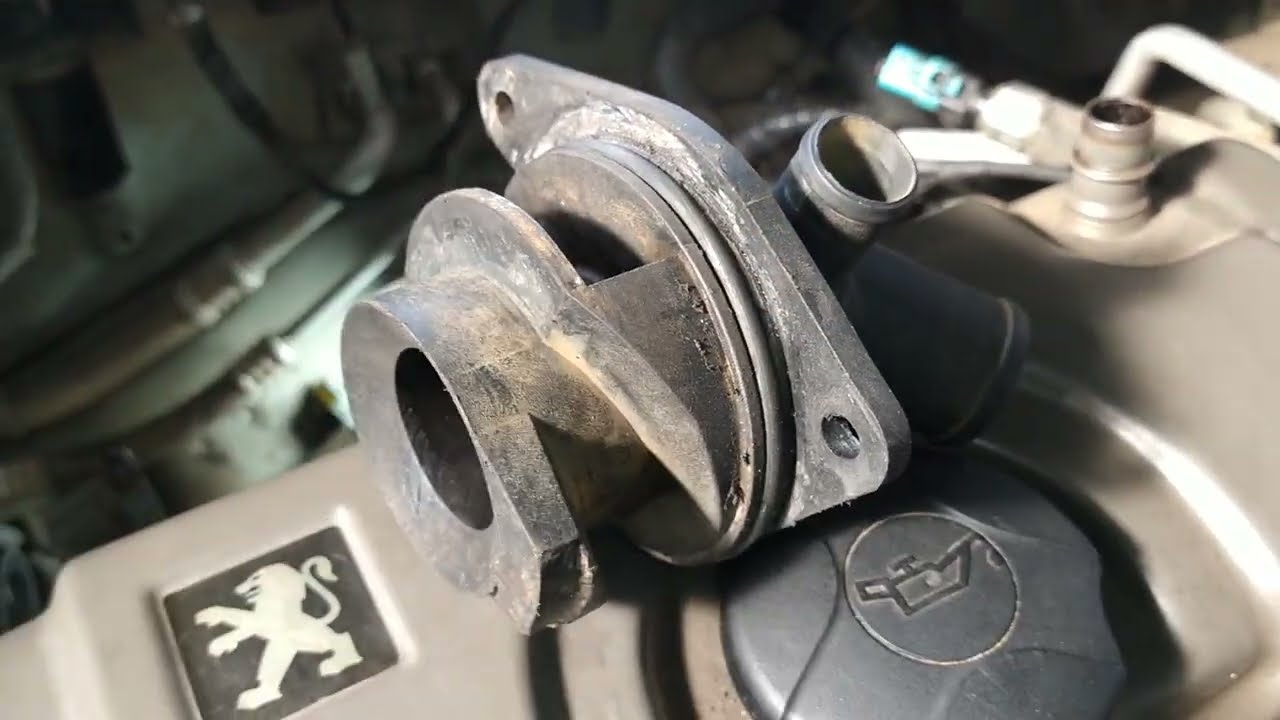 vazamento de água suporte bomba de água Peugeot 1,4