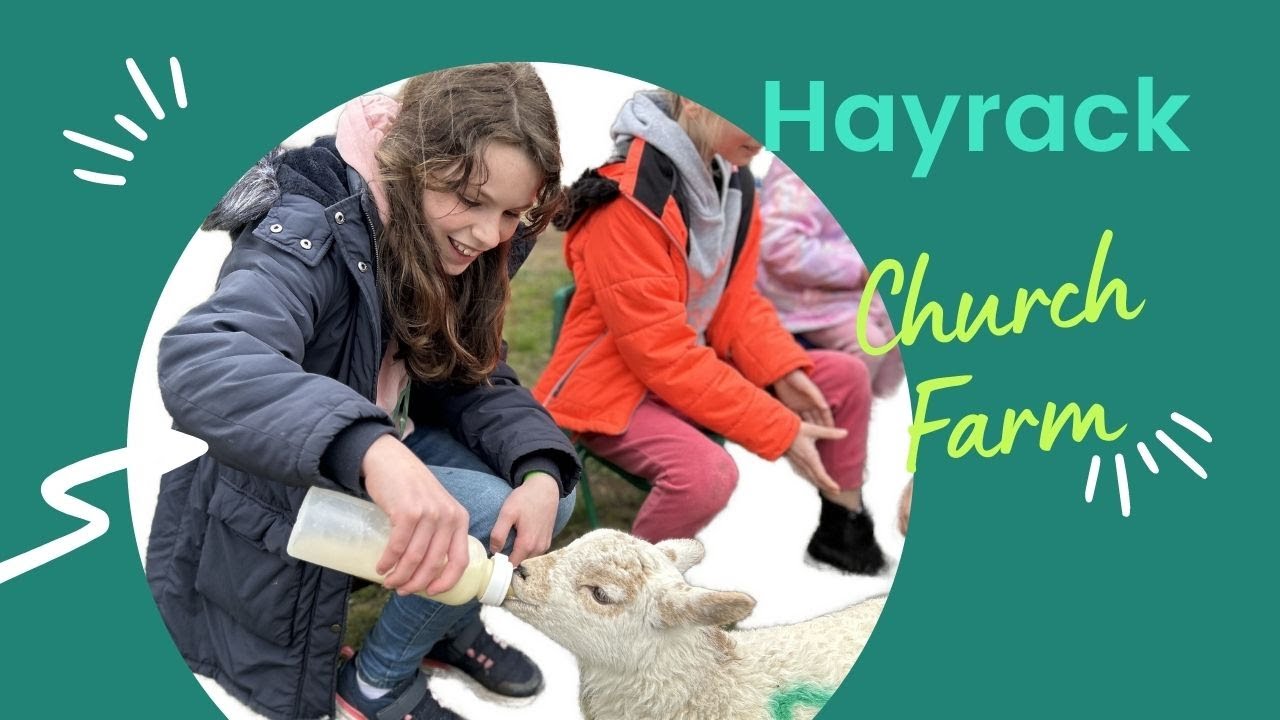 Hayrack Church Farm - Lamb Bottle Feeding