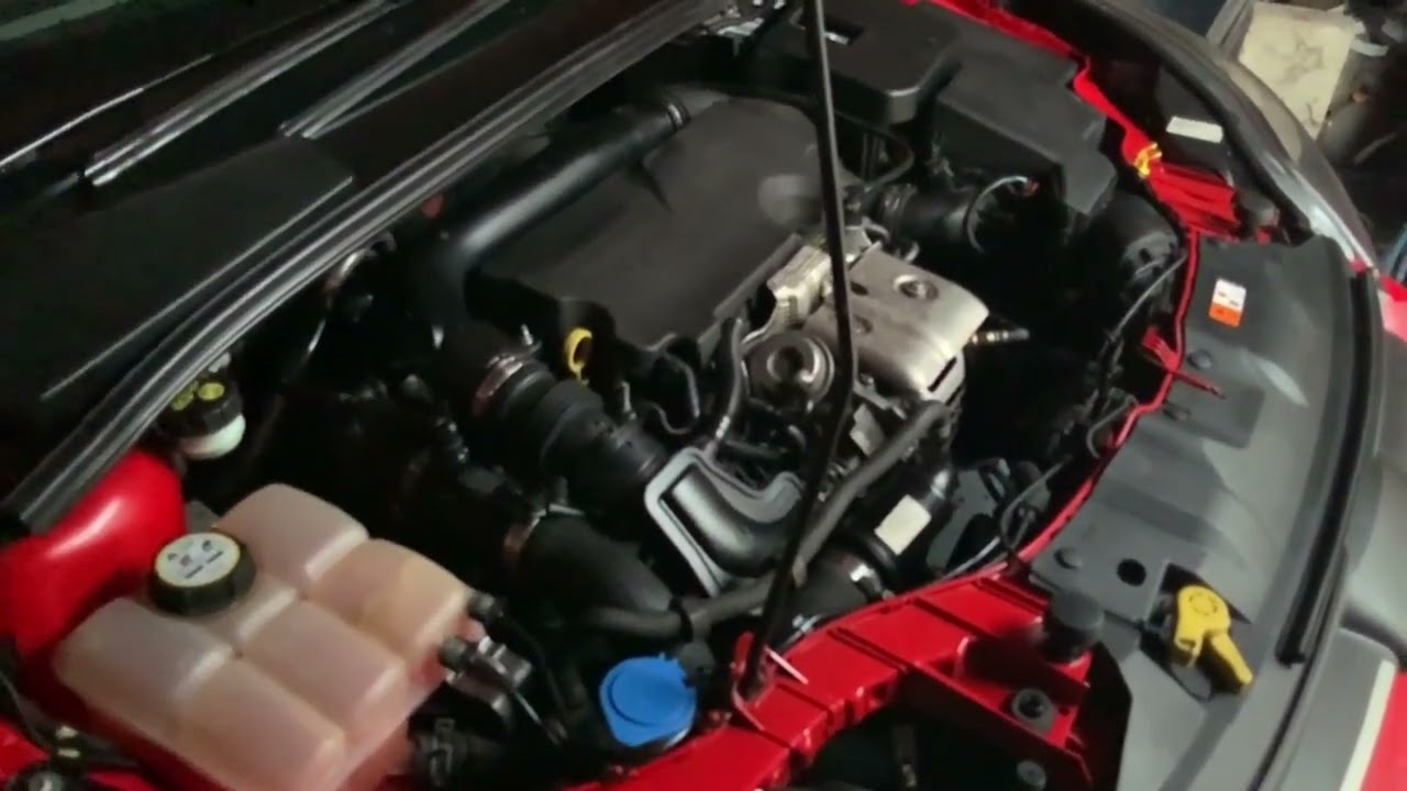 Garage talk with Dale - Ford Focus Welt Belt Install