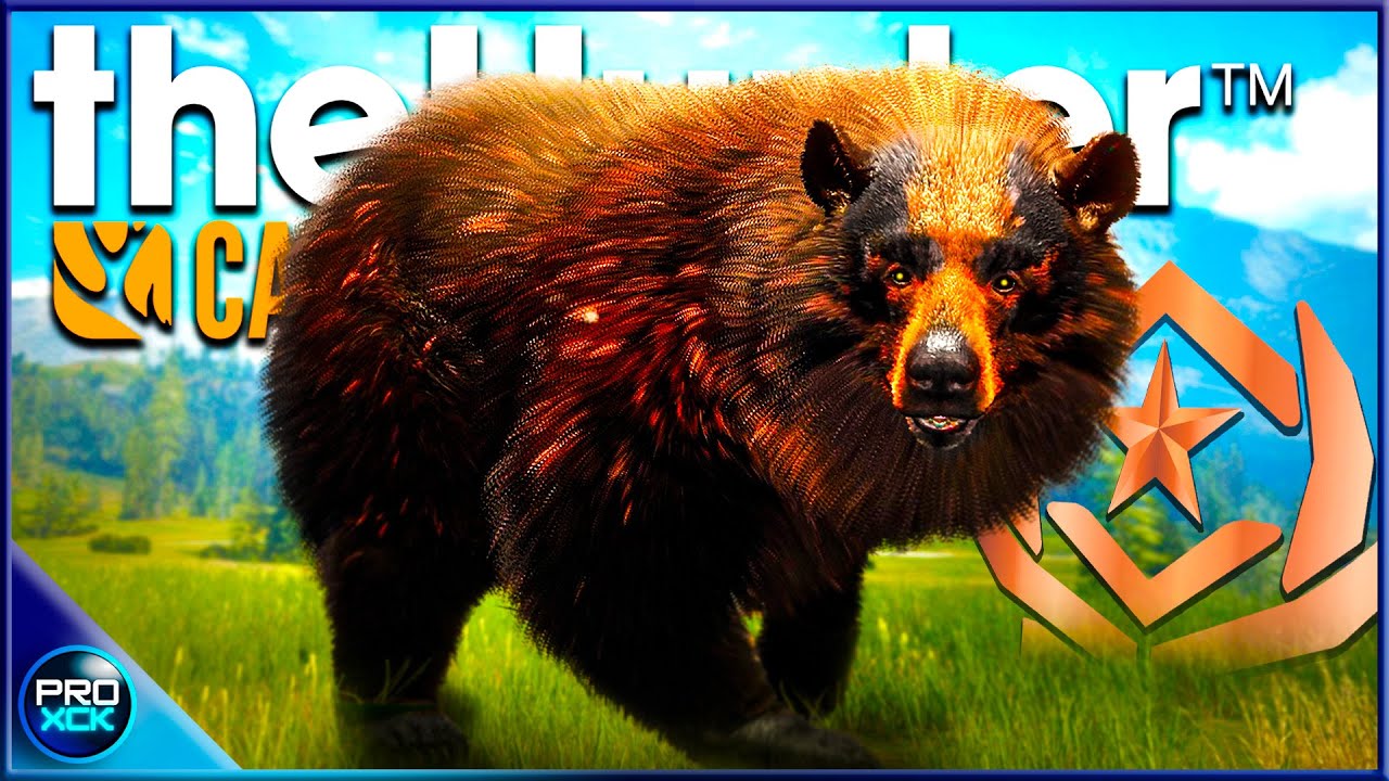 NO WAY! Hunting My First Great One Black Bear in theHunter Call of the Wild