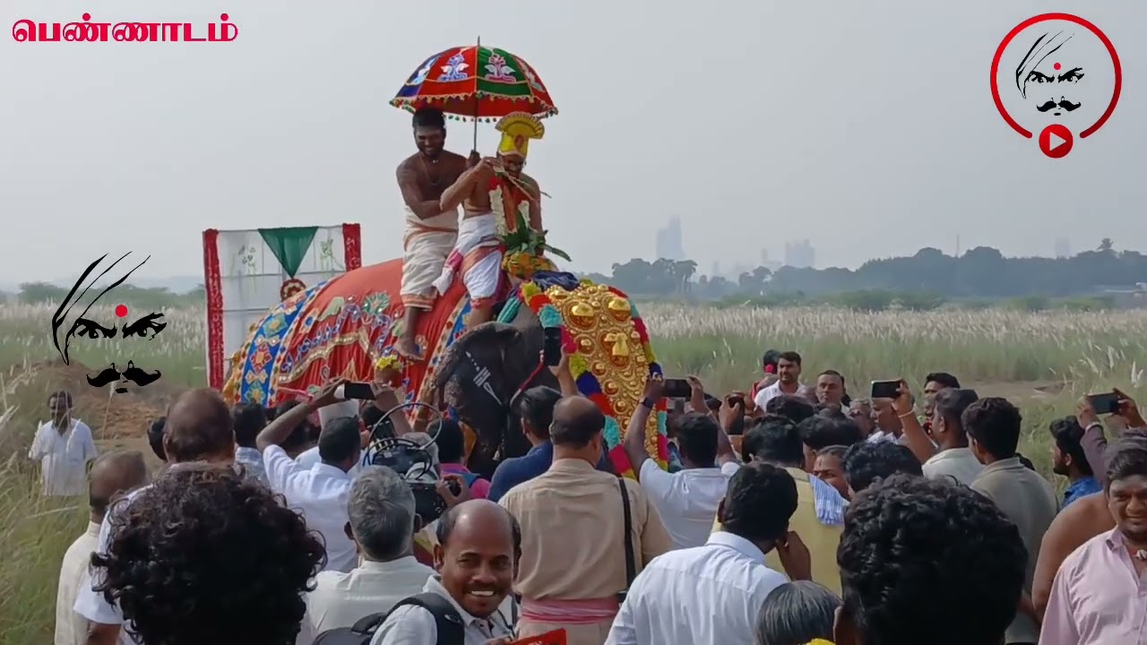 பெண்ணாடம் கோவில் கும்பாபிஷேகம்: யானையில் புனித நீர் கொண்டுவரும் நிகழ்ச்சி #pennadam #temple