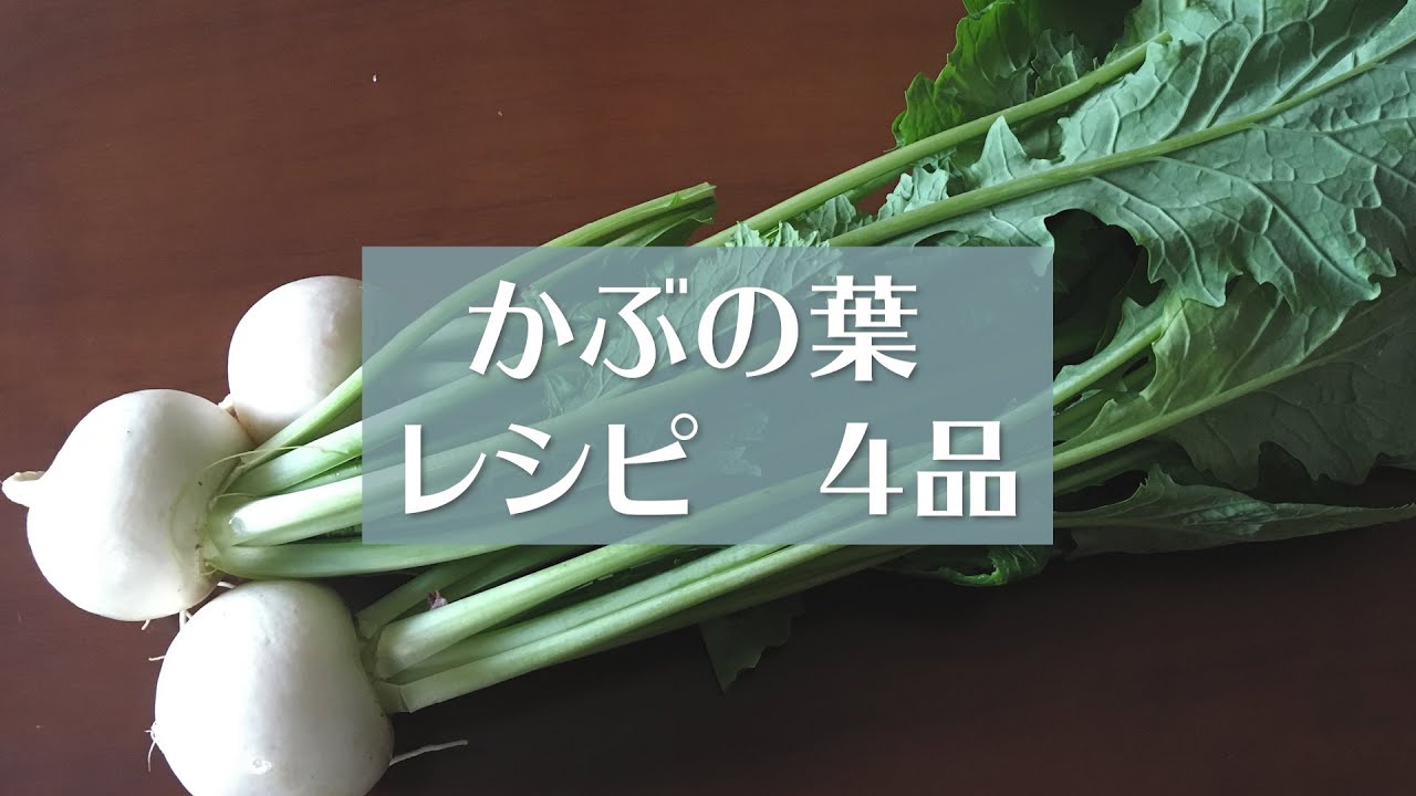 美味しい！栄養たっぷり！かぶの葉レシピ ４品　＃かぶの葉