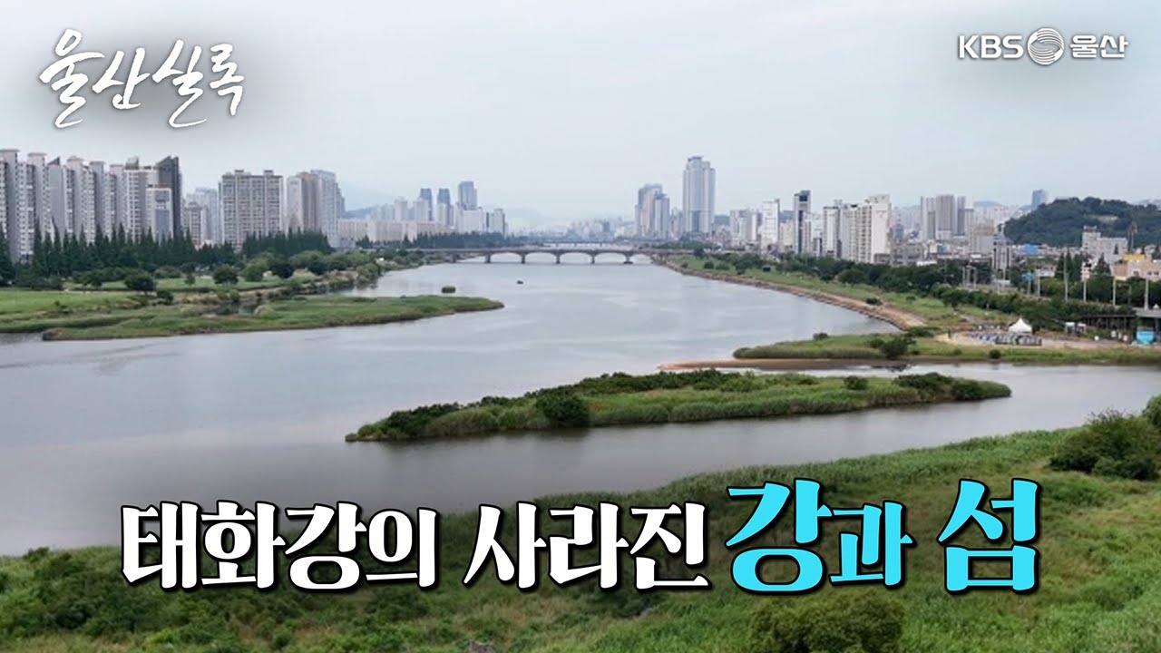 사라진 것에 대하여 태화강 [KBS울산 보물창고 - 울산실록] 25.7.1 방송