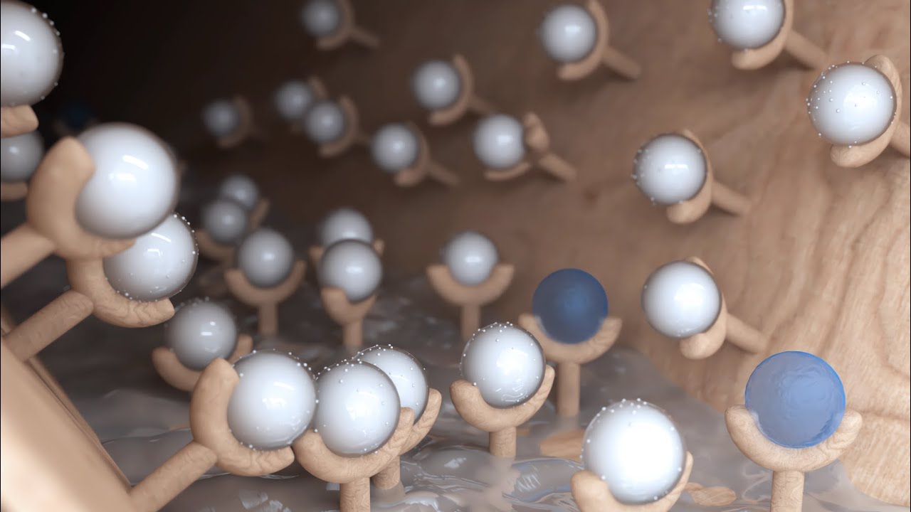 Le secret d’Accoya: Comment l’acétylation transforme le bois ordinaire