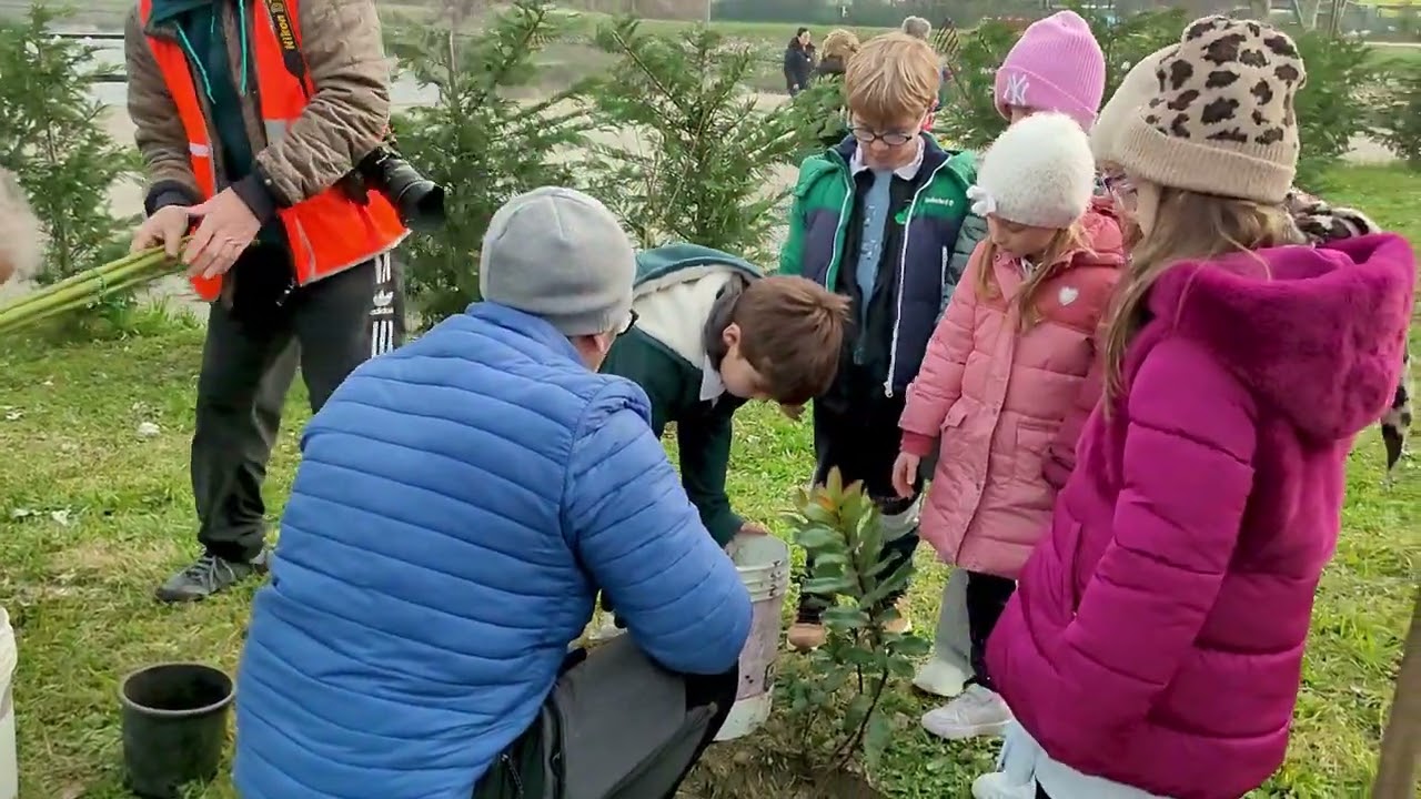 Porto Viro, alberi per le api: “La cultura ambientale parte dai bambini”