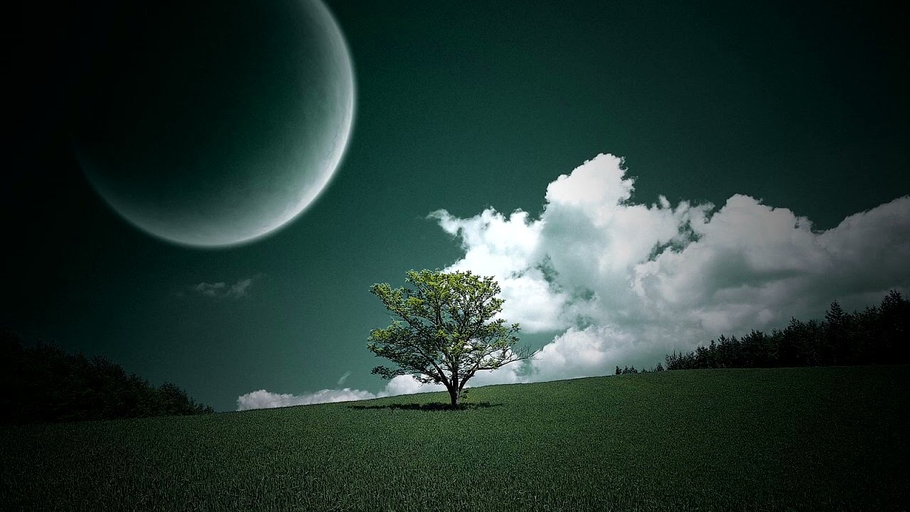 Playlist Soft music, com sons da natureza                             (Covers ,@ingridmusic1554)