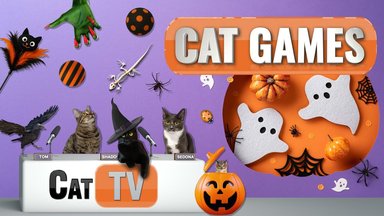 Кошачьи игры | Жутковатое веселье: Кошачье ТВ на Хэллоуин 🎃👻🦇