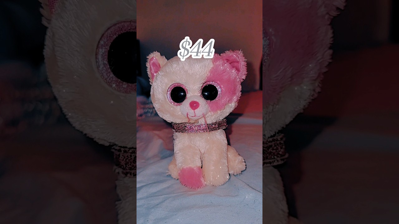 What price I got my beanie boos for