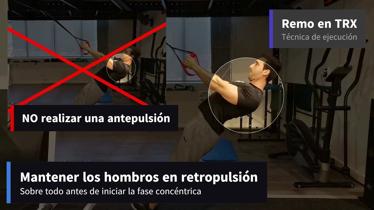 Remo en TRX (Técnica y Musculatura implicada)