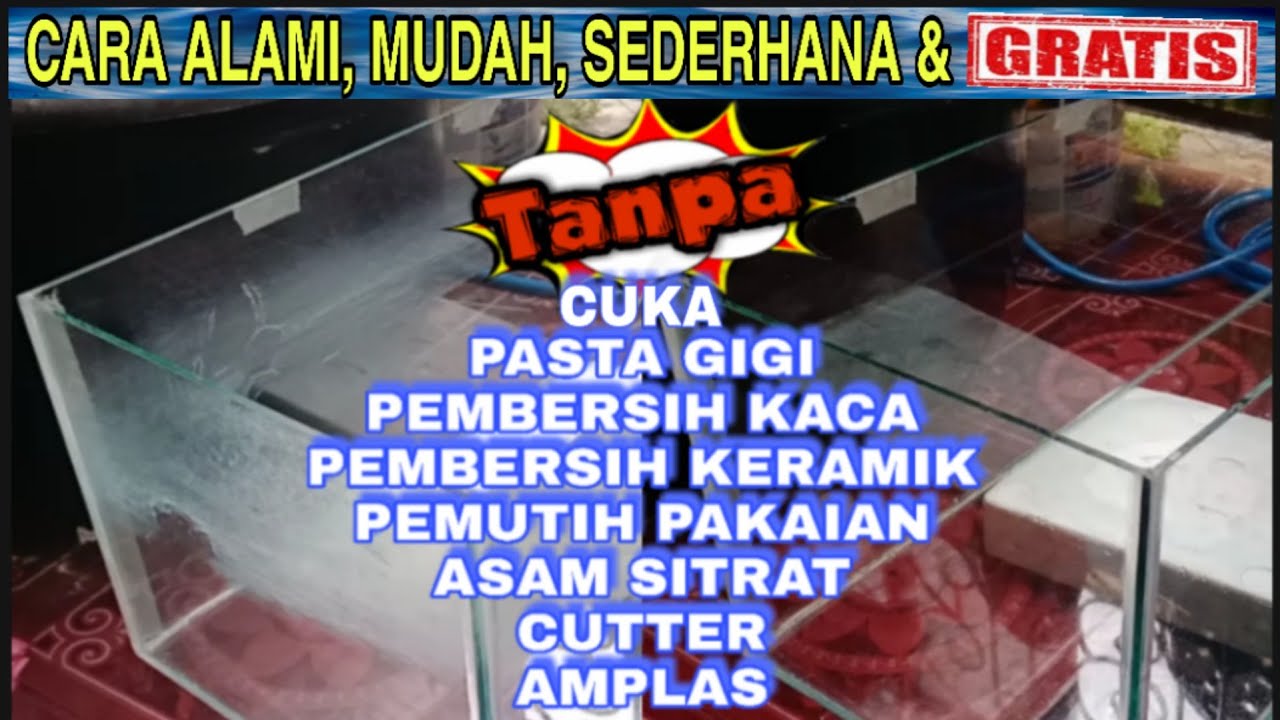 Cara Membersihkan Aquarium Berkerak ( Tanpa Bahan Kimia ) TANPA BIAYA!!!