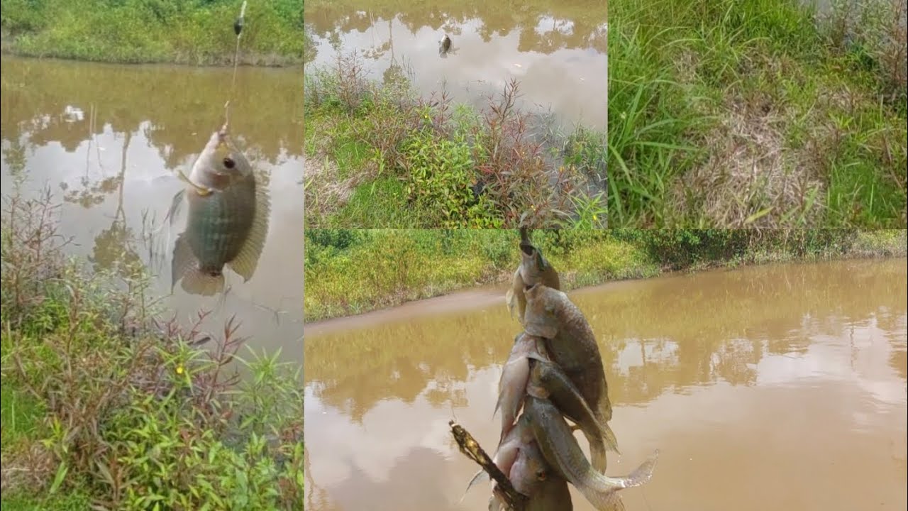 NÃO EXISTE COISA MELHOR,CARA FRITO.
