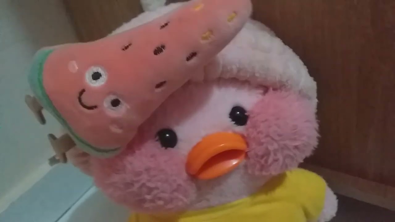 rotina da ayla da manhã!!