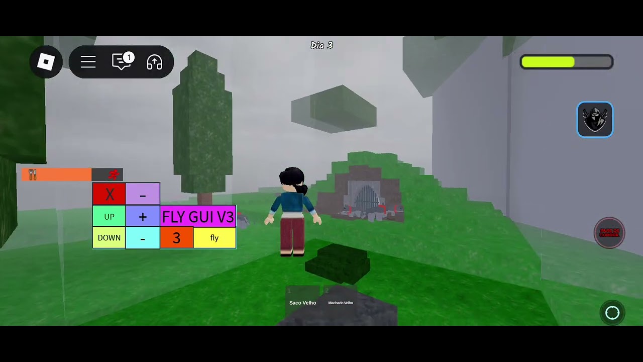 Usando o script sendo iniciante 