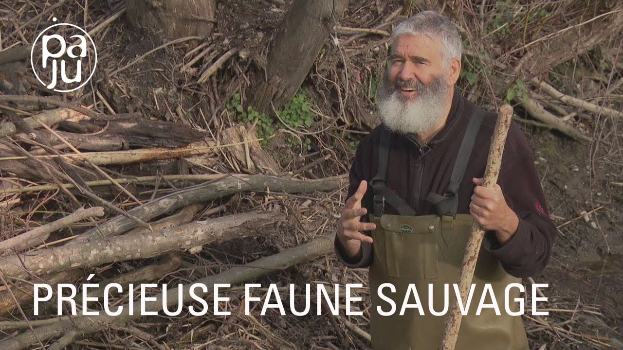 Gottlieb,  un inspecteur de la faune atypique