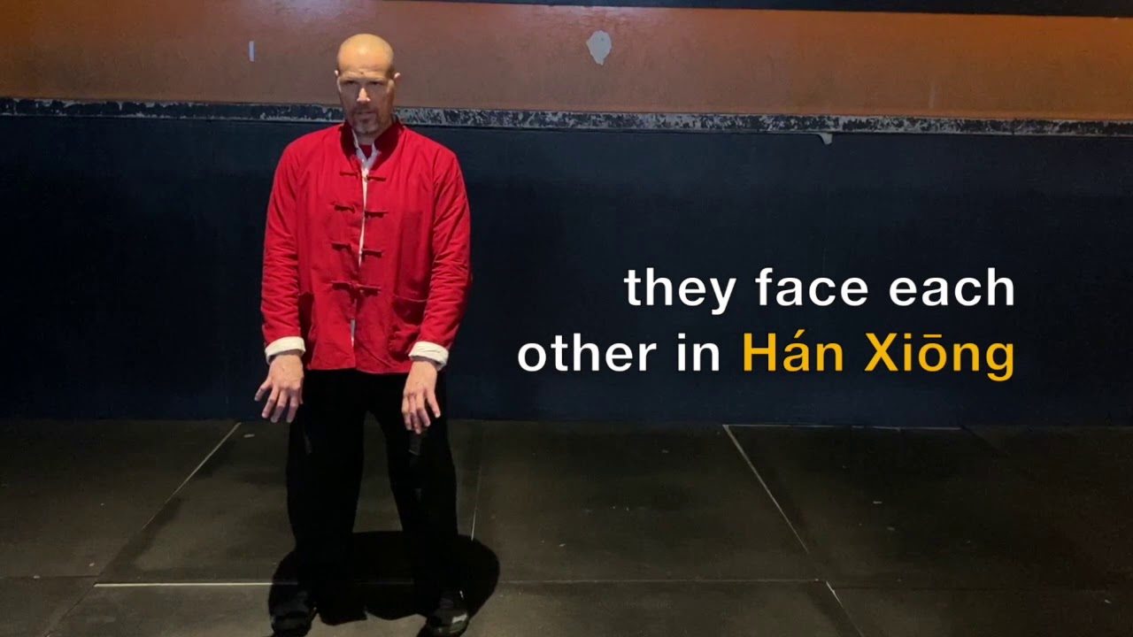 5 Minutes of Adding Energy using Shen Fa (Body Power)