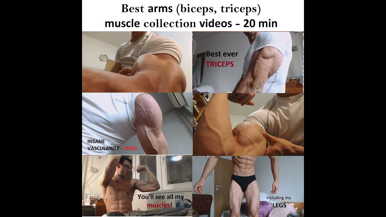 Best arms muscle videos