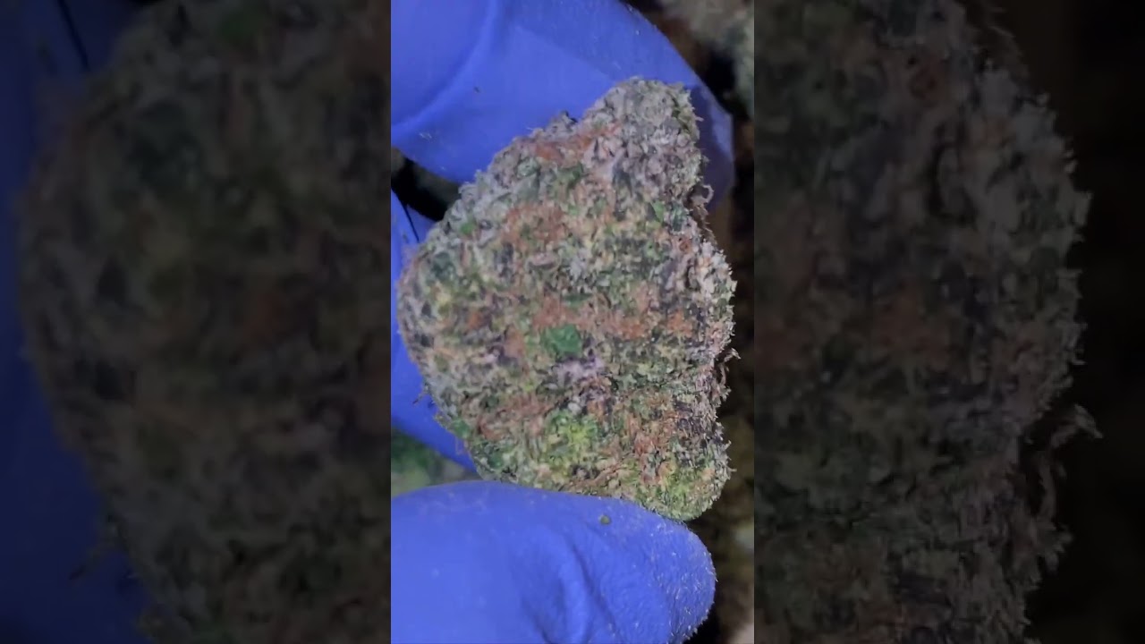 Frosted Cherry Cookies Strain