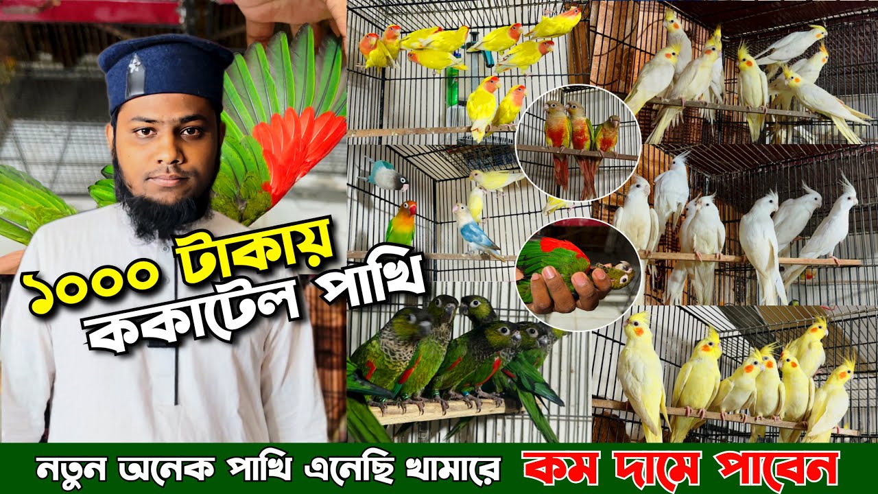 ককটেল মাত্র ১০০০ টাকা | চমৎকার কিছু পাখি এসেছে খামারে | ভিডিও না দেখবেন তো মিস করবেন।