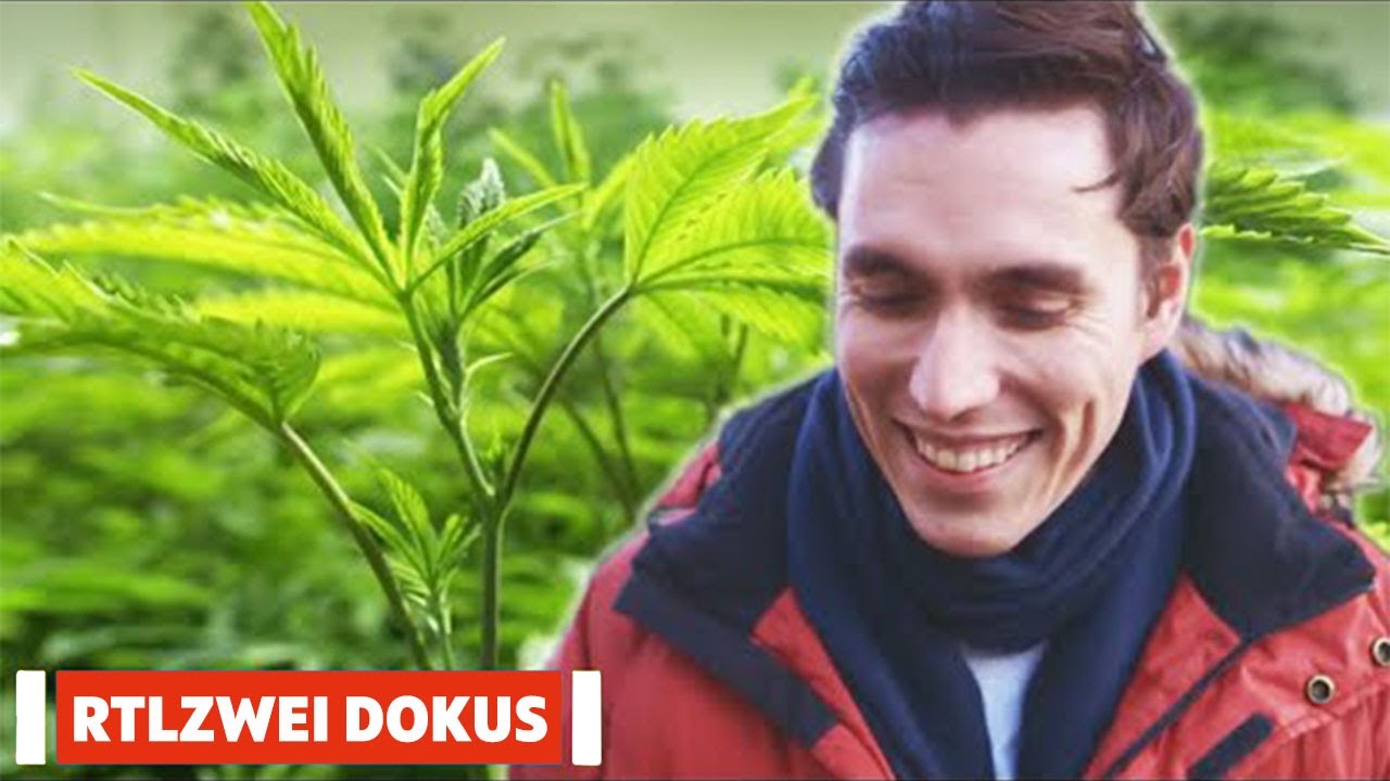 Voll vernebelt: Cannabis-Selbstversuch in Amsterdam | Echtzeit | RTLZWEI Dokus