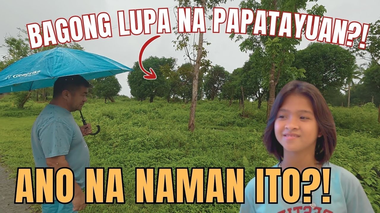 DARLENE, MAY BAGONG LUPA?! PAPATAYUAN NG NEGOSYO?! ANO ANG BIBILHIN?! || KALINGAP RAB, DOCTOR LOVE