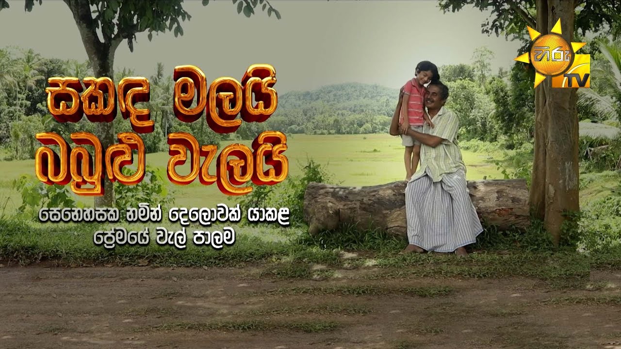 සකඳ මලයි බබුළු වැලයි | Hiru Tele Films | 2024-11-02