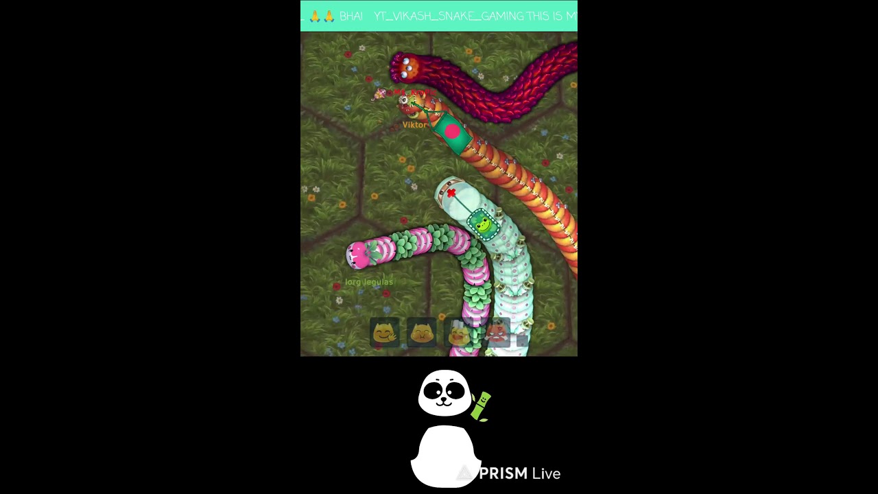 Hack Gameplay 😞 Worms Zone io hungry snake game king 👑 No Death Mod Apk Gameplay  Live Streamin