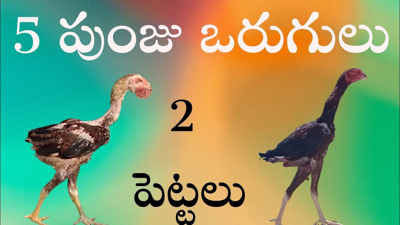 7 ఒరుగులు #99894 44991 #khrfarms 