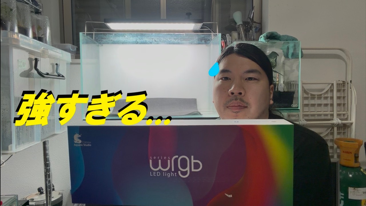 チヒロス、光が強すぎると失敗します。