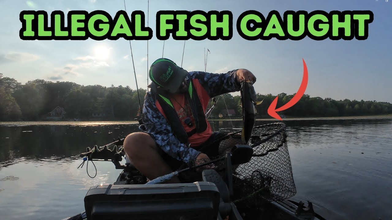 this fish dont belong here | Cops Called