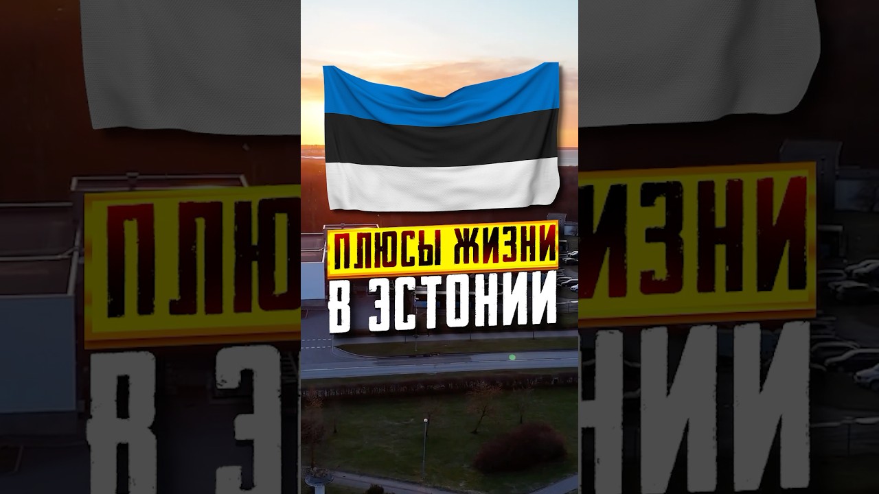 Плюсы жизни в Эстонии в 2025