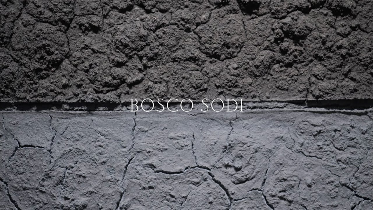 Bosco Sodi, 보스코 소디, Artist Interview, 2024