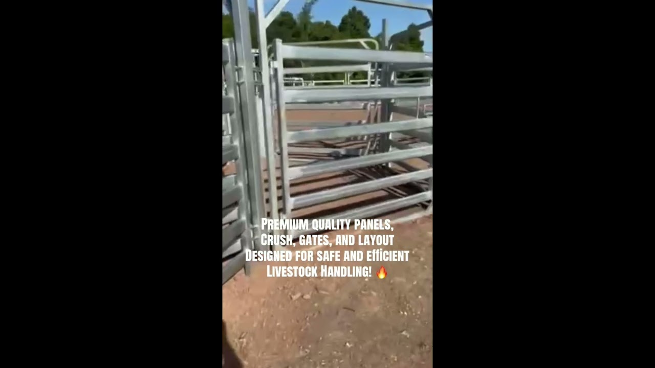 250-Head Cattle Yard Installation Complete - Dayboro, QLD | SEQ Rural Steel & Fencing