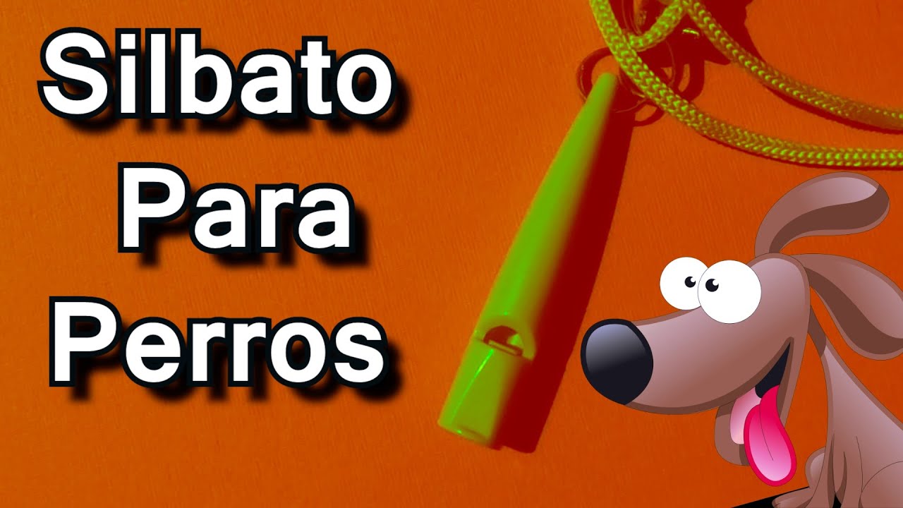 Silbato para perros  Sonido ultras&oacute;nico para perros 🐶 🐕 Sonido para PERROS 🐶 🐕