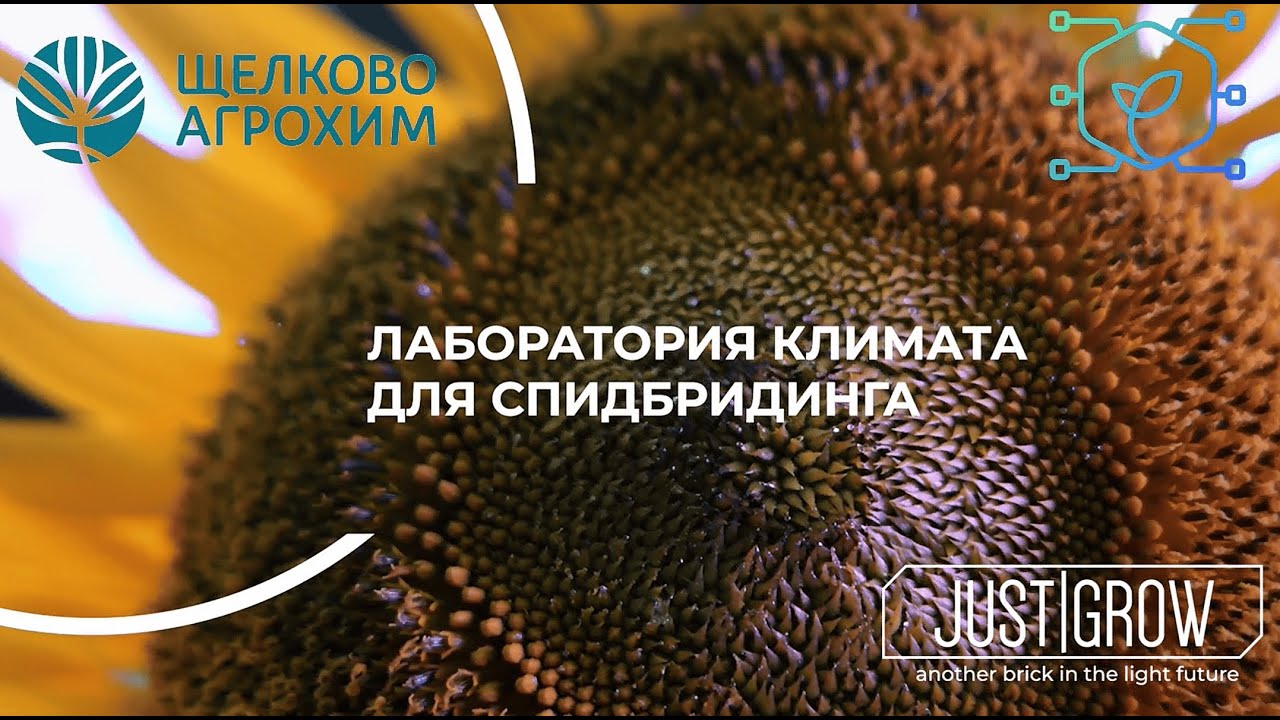 Ускоренная селекция растений.Первая в России лаборатория испытания агрохимии в условиях спидбридинга