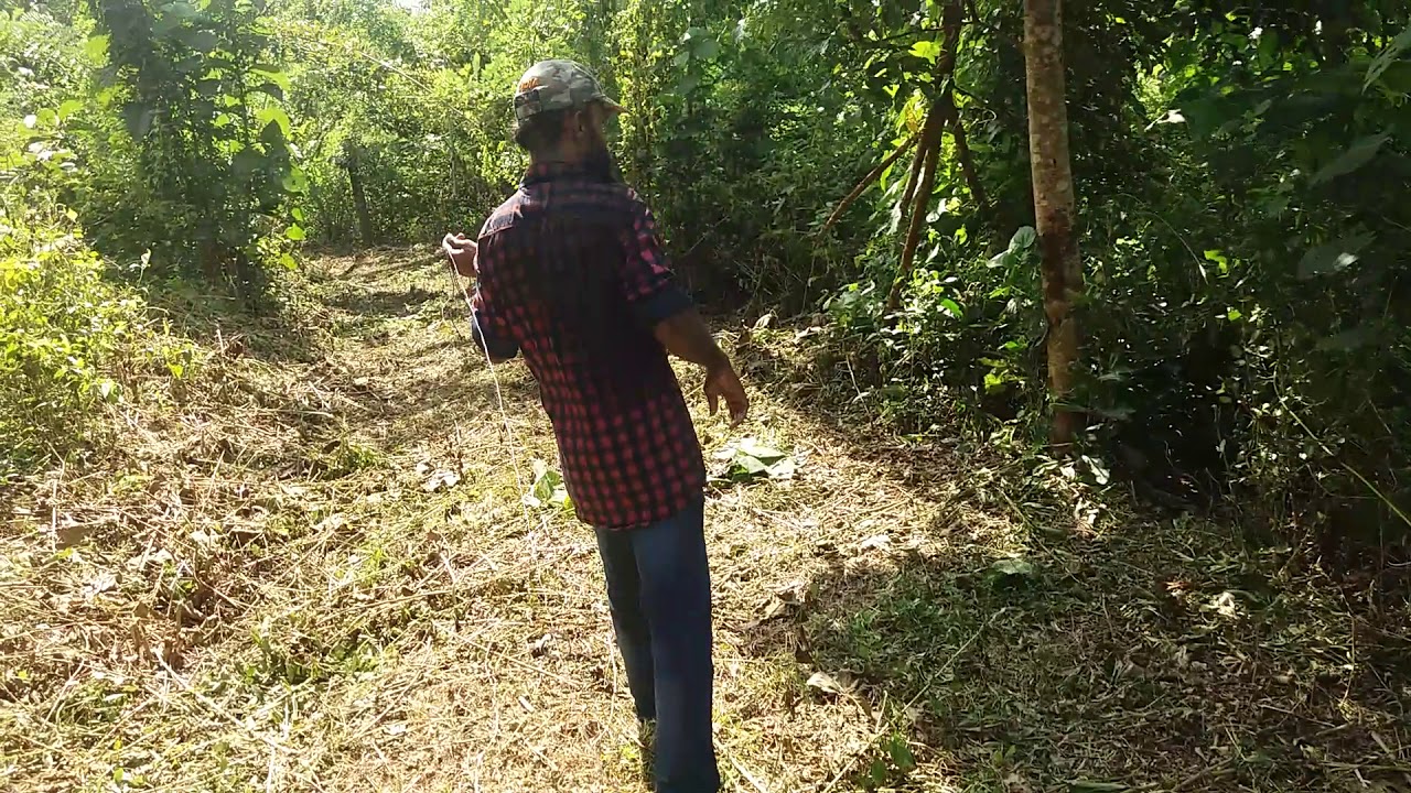 # Land for sale @THRISSUR -Otupara # 10.5 ഏക്കർ  സ്ഥലം. ഒരു സെന്റിന് 20, 000/-രൂപ $