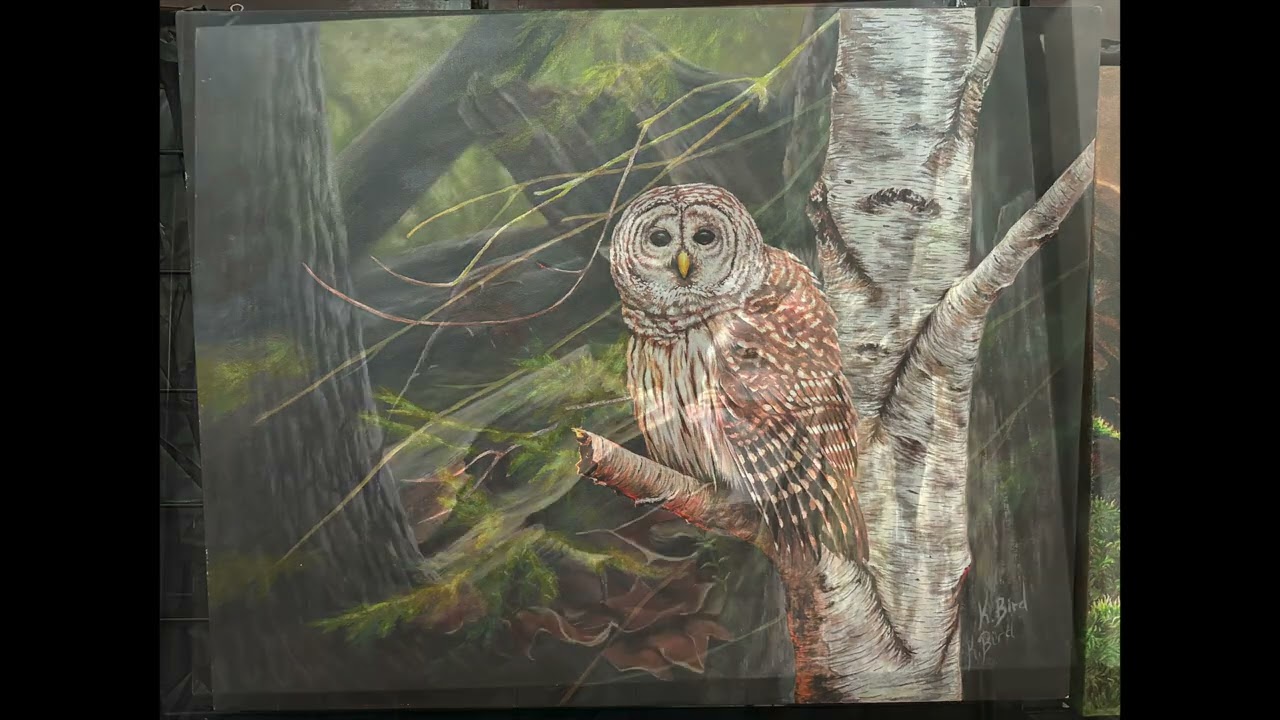 Meet Kristi Bird Wildlife Artist - 2 Days Only Rideau Lake Studio Tour