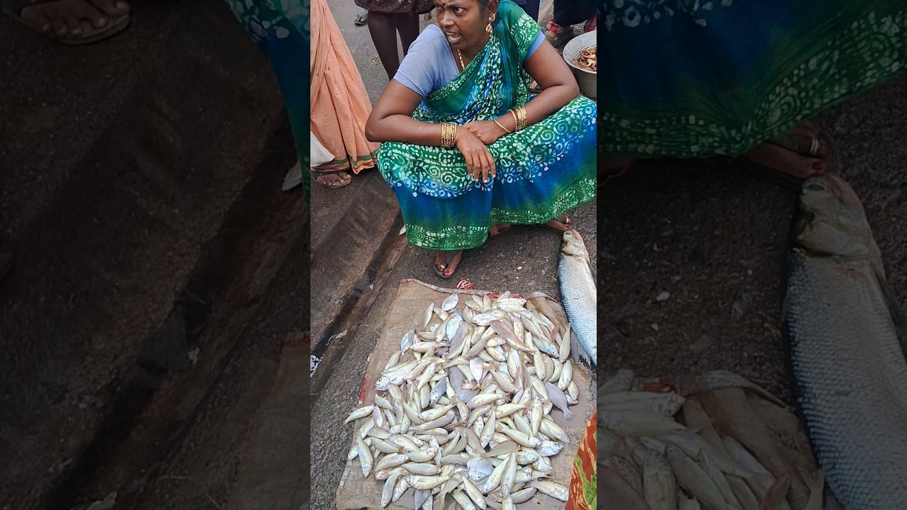 💥🐠 Offer 500 Nagarai Fish | Kasimedu fish market #fish #redmullet #auction #shorts #viral #trending