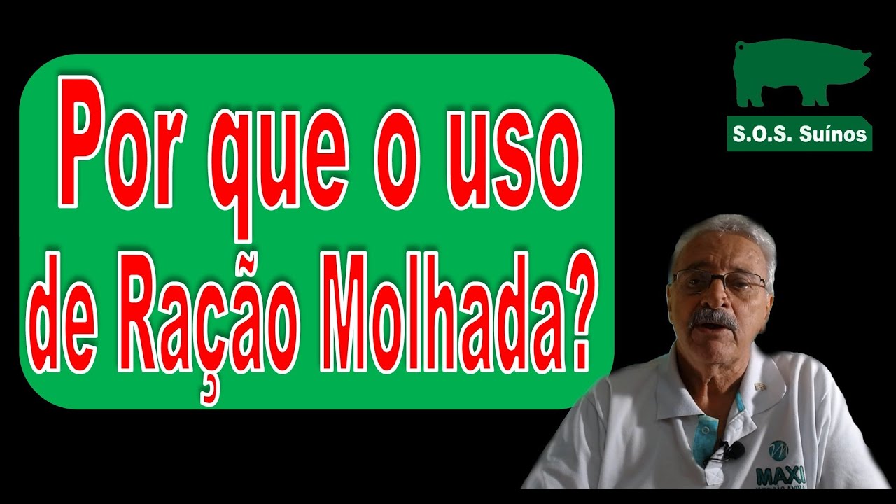 SUINOCULTURA: Por que o uso de Ração Molhada?