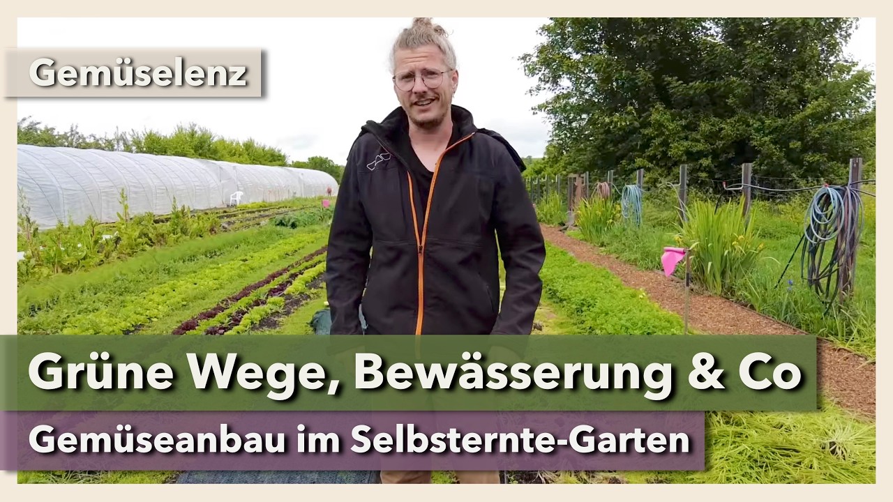 Begrünte Wege, Bewässerung & Pflanzenstärkung im Selbsternte-Garten | Gemüselenz | 2024 | Teil 7