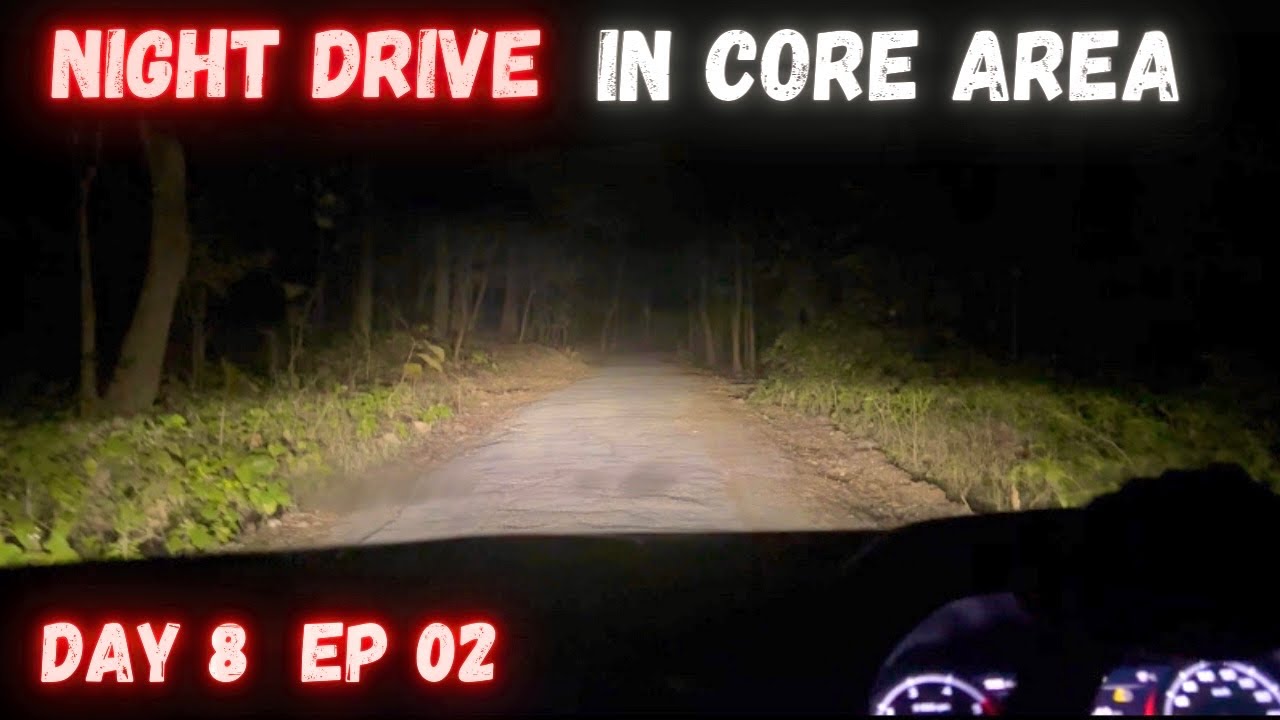 Night Drive In Core Tiger Area 🐅 | Alarm Call by Sambhar Deer | Jim Corbett National Park Safari