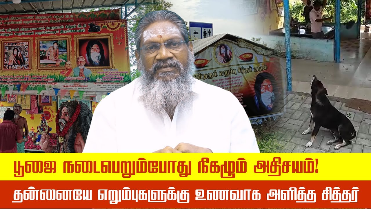 தன்னையே எறும்புகளுக்கு உணவாக அளித்த சித்தர்  | பாலாறு வேலாயுதம் சுவாமிகள்