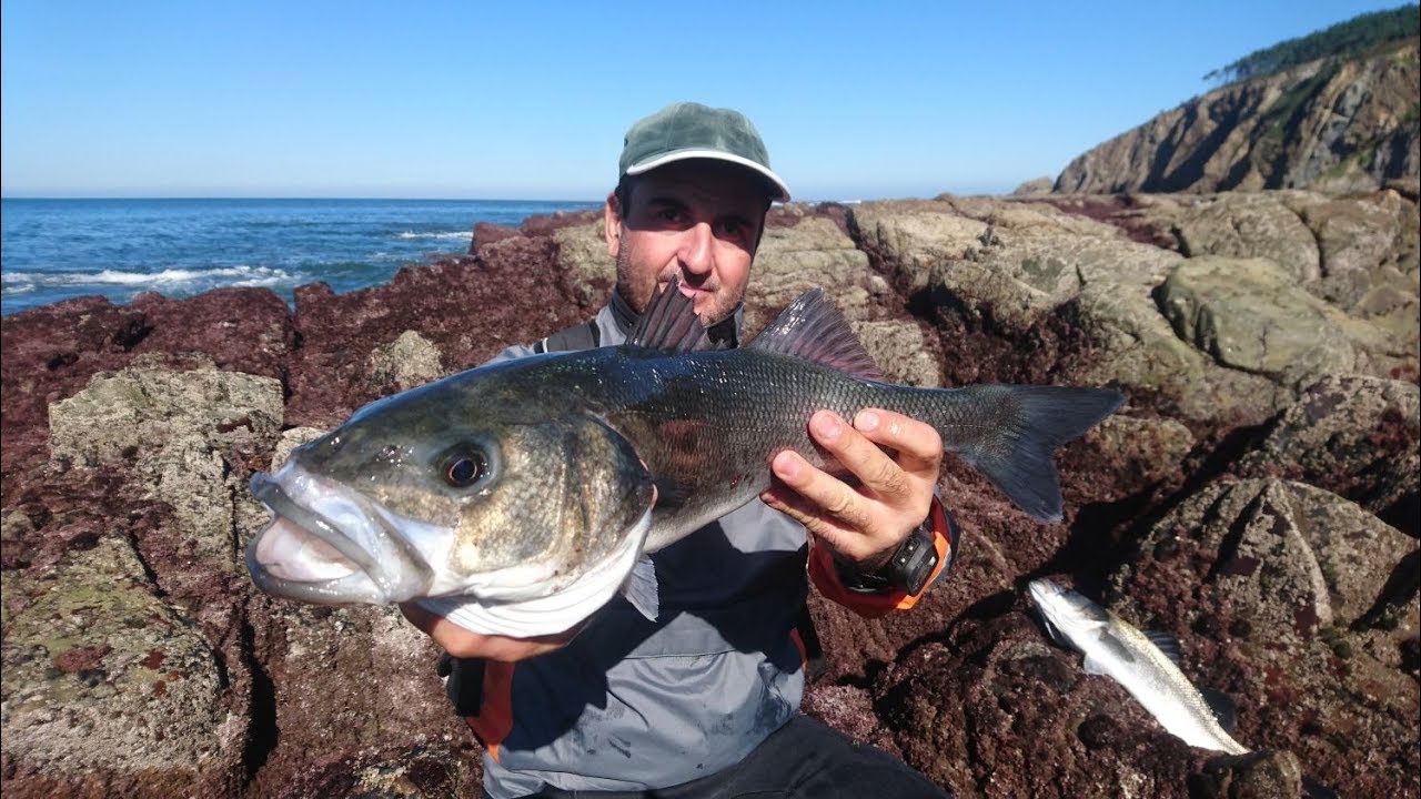 Impresionante,lubinas en superficie con vinilo