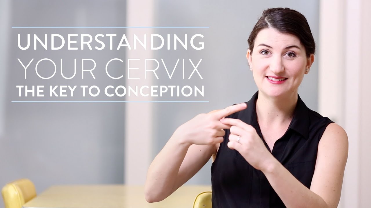 Conception 101: Ovulation And Your Cervix
